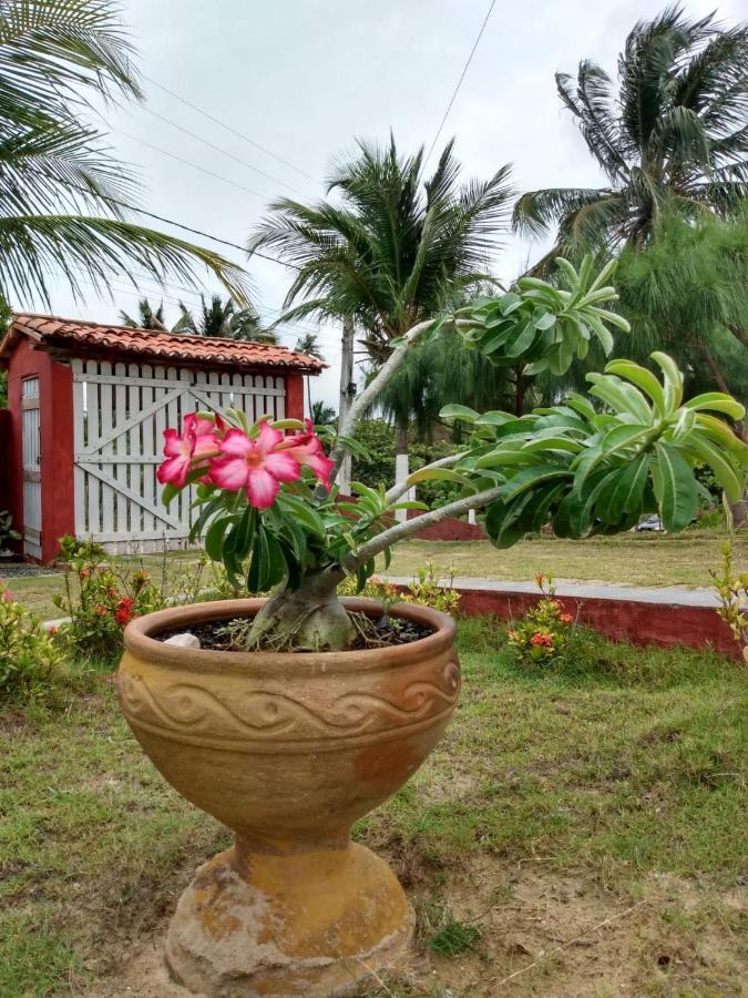 Villa Casa Aratu Moitas-Icaraizinho De Amontada Esterno foto